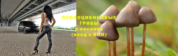 ПСИЛОЦИБИНОВЫЕ ГРИБЫ Навашино