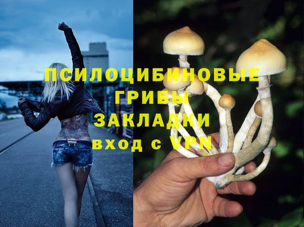 Альфа ПВП Михайловск