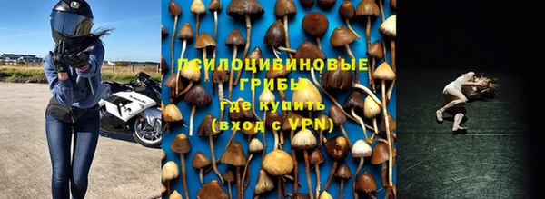 гидра Липки